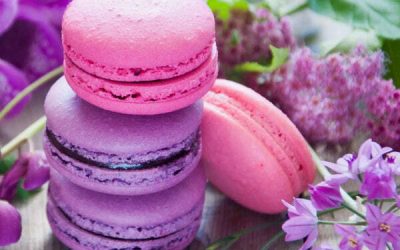 Les pyramides olfactives par senteur